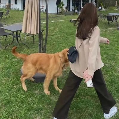 性本无言